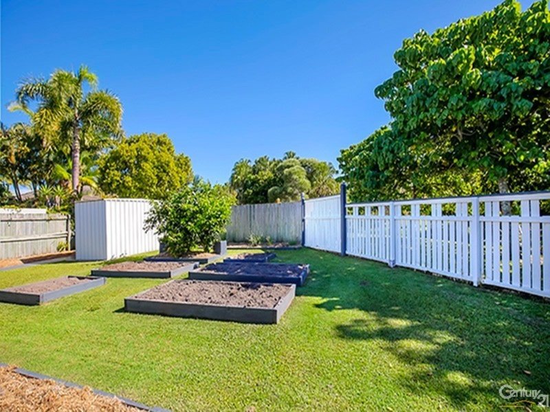 Photo - 16 Mountain Ash Drive, Mountain Creek QLD 4557 - Image 8