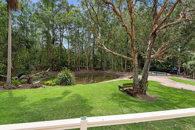 Photo - 16 Nicolle Court, Mooloolah Valley QLD 4553 - Image 6