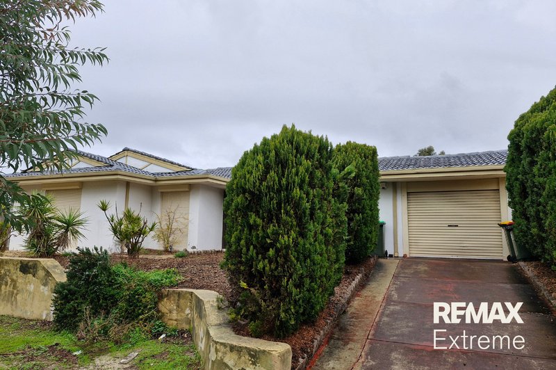 Photo - 16 Oakleaf Circle, Mirrabooka WA 6061 - Image 1