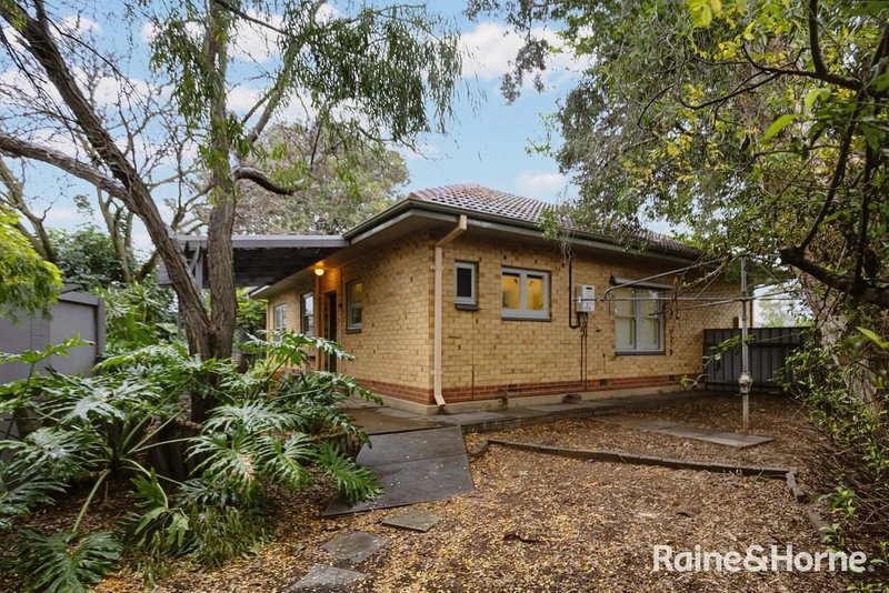 Photo - 16 Pape Crescent, Netley SA 5037 - Image 14