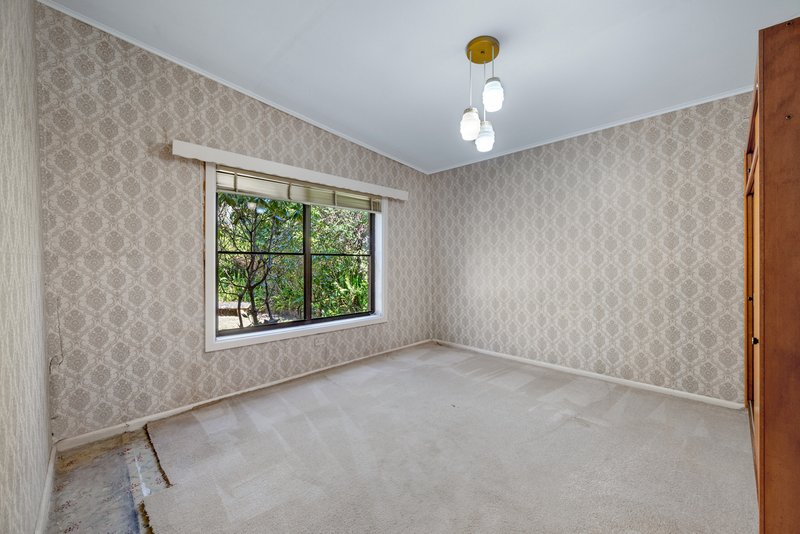 Photo - 16 Park Avenue, Springwood NSW 2777 - Image 12