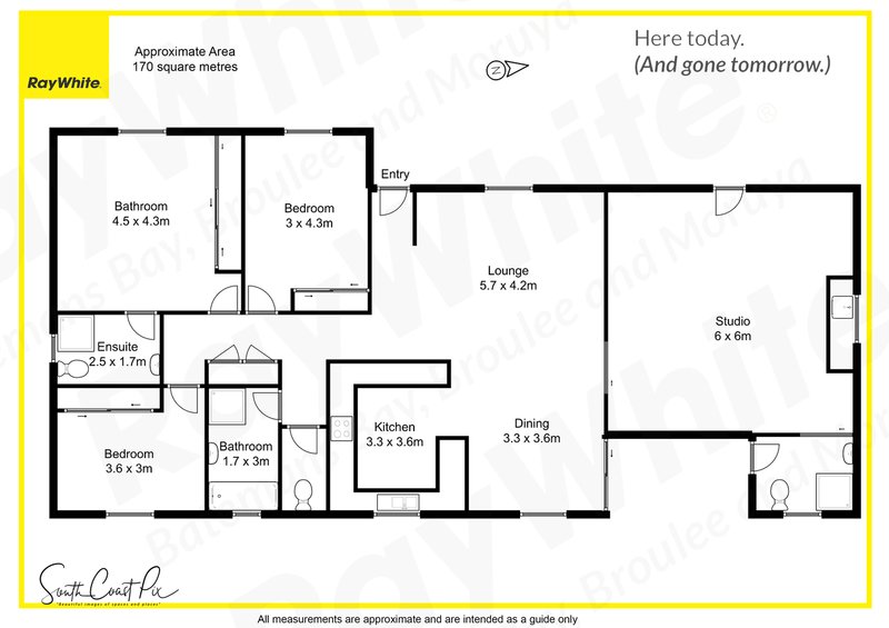 Photo - 16 Park Street, Mogo NSW 2536 - Image 21