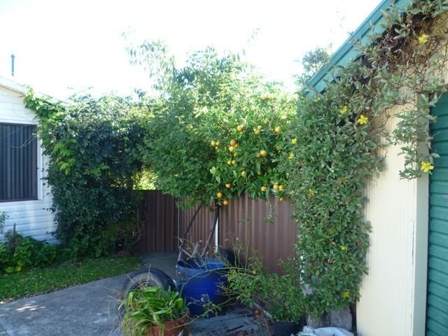 Photo - 16 Porter Crescent, Ulverstone TAS 7315 - Image 11