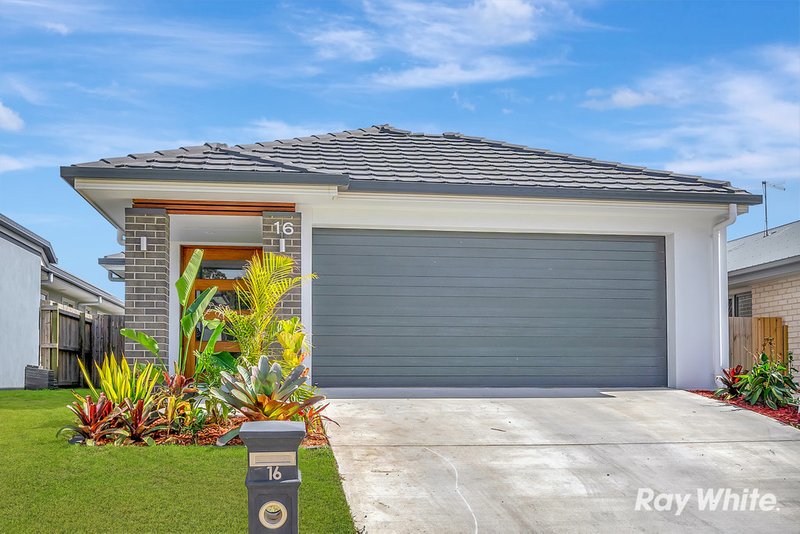 16 Potocki Street, Logan Reserve QLD 4133