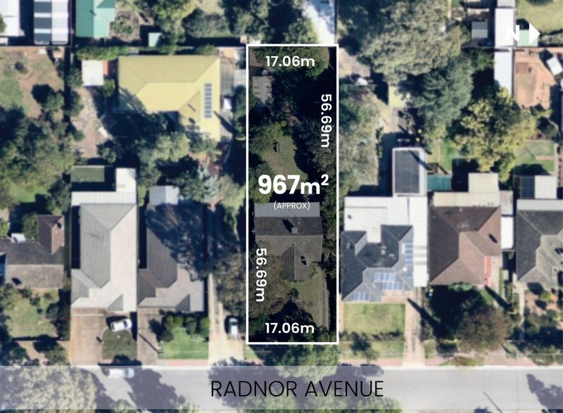 Photo - 16 Radnor Avenue, Rostrevor SA 5073 - Image 3