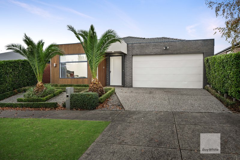 Photo - 16 Rappel Street, Greenvale VIC 3059 - Image 1