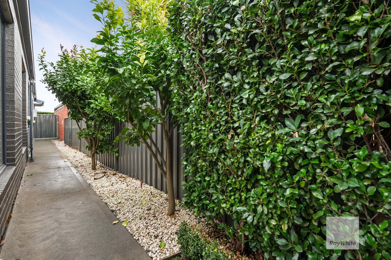 Photo - 16 Rappel Street, Greenvale VIC 3059 - Image 21