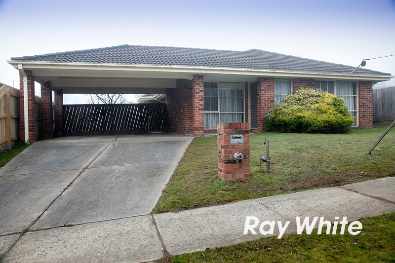 16 Richard Drive, Langwarrin VIC 3910