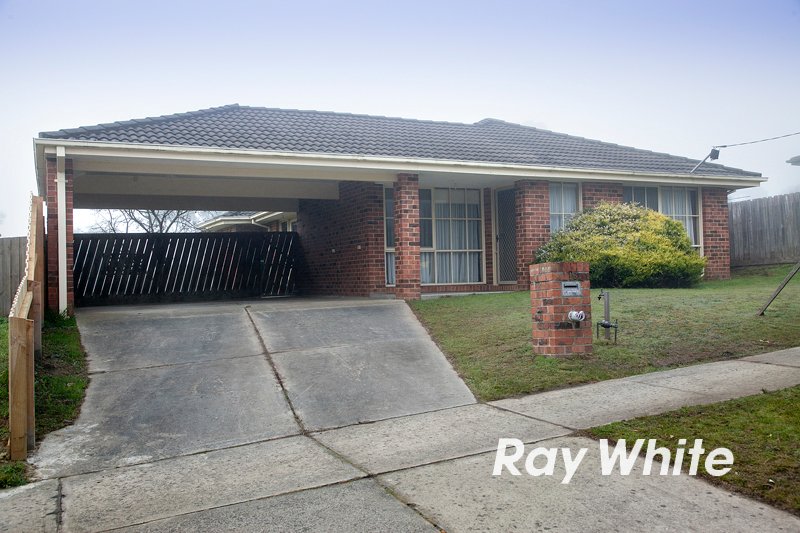 Photo - 16 Richard Drive, Langwarrin VIC 3910 - Image 15