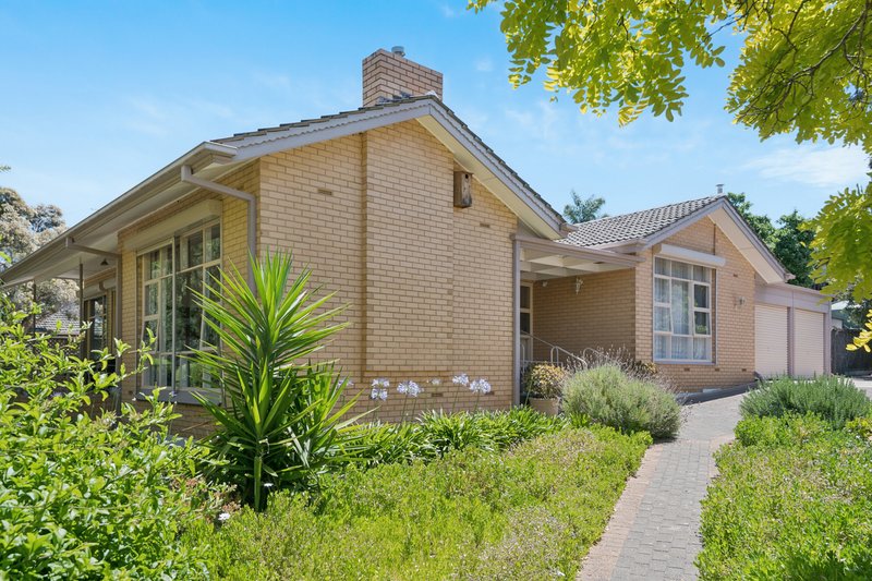 Photo - 16 Ridgway Drive, Flagstaff Hill SA 5159 - Image 20