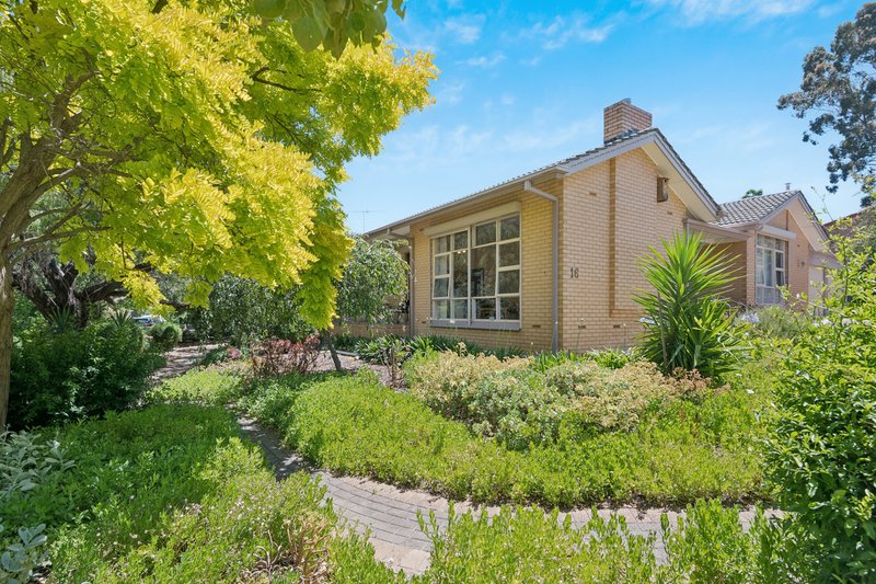 Photo - 16 Ridgway Drive, Flagstaff Hill SA 5159 - Image 21
