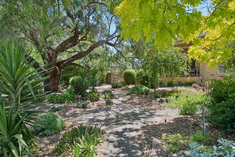 Photo - 16 Ridgway Drive, Flagstaff Hill SA 5159 - Image 22