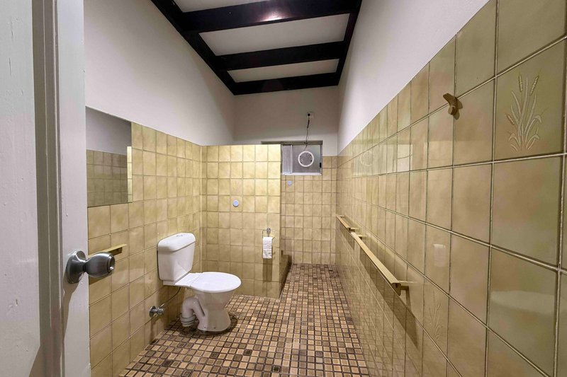 Photo - 16 Robinson Street, Croydon NSW 2132 - Image 8