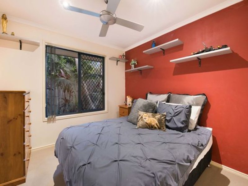 Photo - 16 Rock Fig Court, Palmwoods QLD 4555 - Image 20