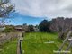 Photo - 16 Rodney Street, Rye VIC 3941 - Image 11