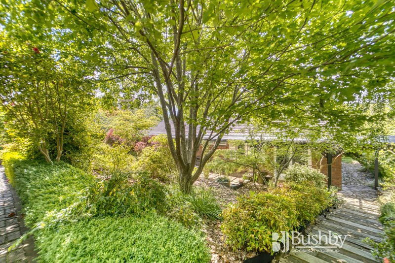 Photo - 16 Rostella Road, Dilston TAS 7252 - Image 4