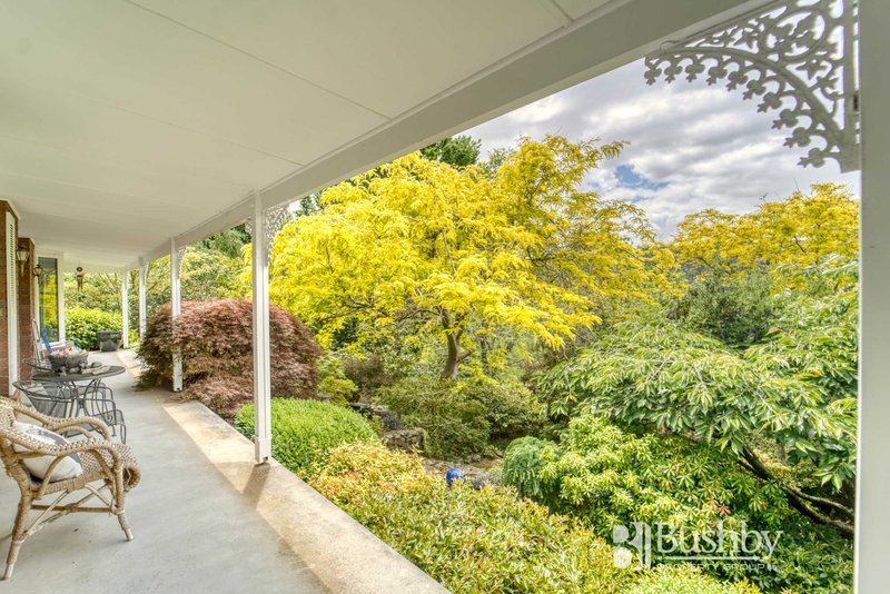 Photo - 16 Rostella Road, Dilston TAS 7252 - Image 18