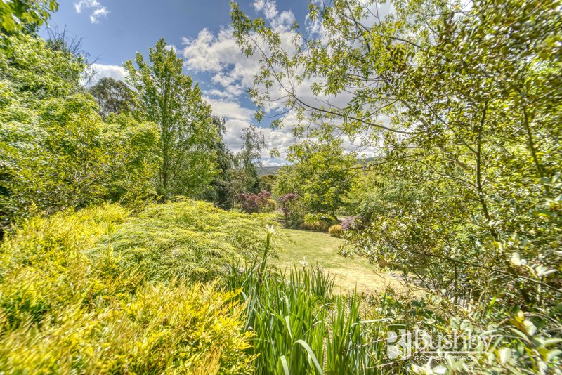 Photo - 16 Rostella Road, Dilston TAS 7252 - Image 21