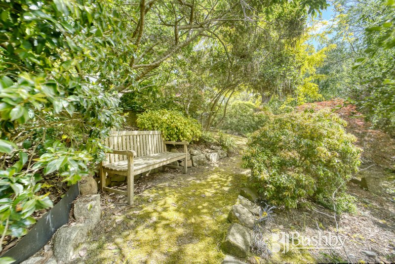 Photo - 16 Rostella Road, Dilston TAS 7252 - Image 23