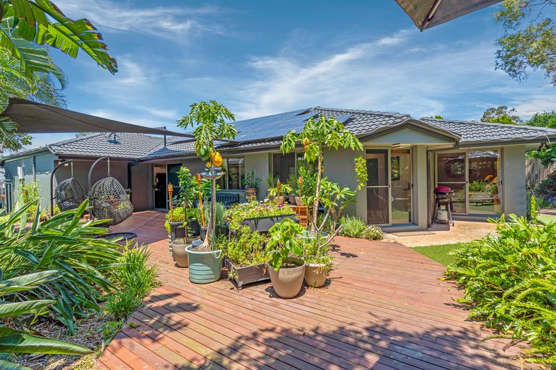 Photo - 16 Royal Court, Ashmore QLD 4214 - Image 16