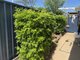 Photo - 16 Shannon Street, Mount Isa QLD 4825 - Image 17