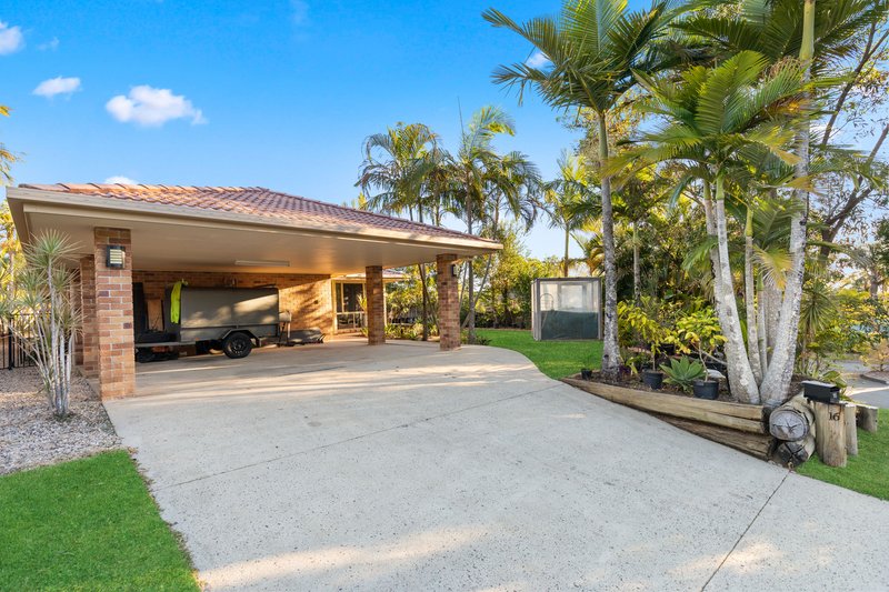 Photo - 16 Sherry Groom Court, Buderim QLD 4556 - Image 11