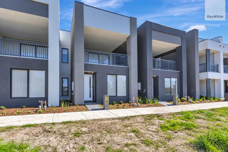 Photo - 16 Shingleback Walk, Mickleham VIC 3064 - Image 1