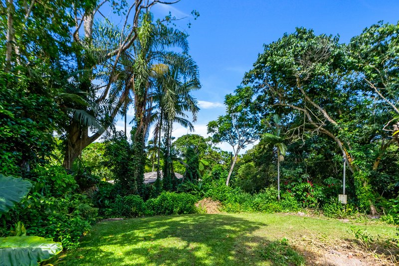 Photo - 16 Spear Road, Kuranda QLD 4881 - Image 22