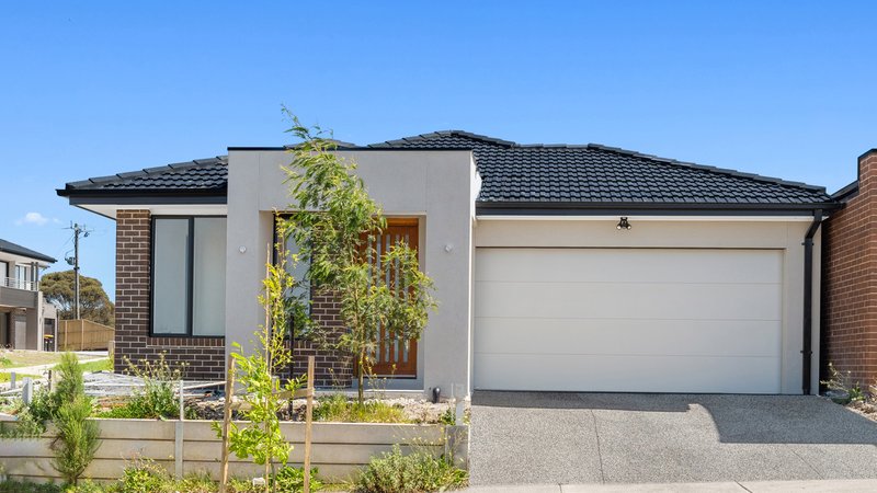 16 Spotted Harrier Street, Wallan VIC 3756