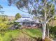 Photo - 16 St Hallett Road, Tanunda SA 5352 - Image 5