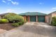 Photo - 16 Strathmore Avenue, Smithfield SA 5114 - Image 1