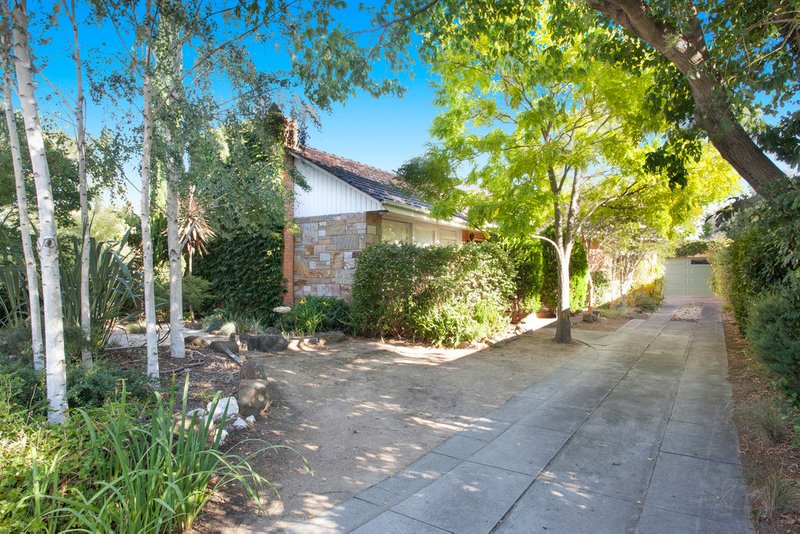 16 Strathmore Street, Bentleigh VIC 3204