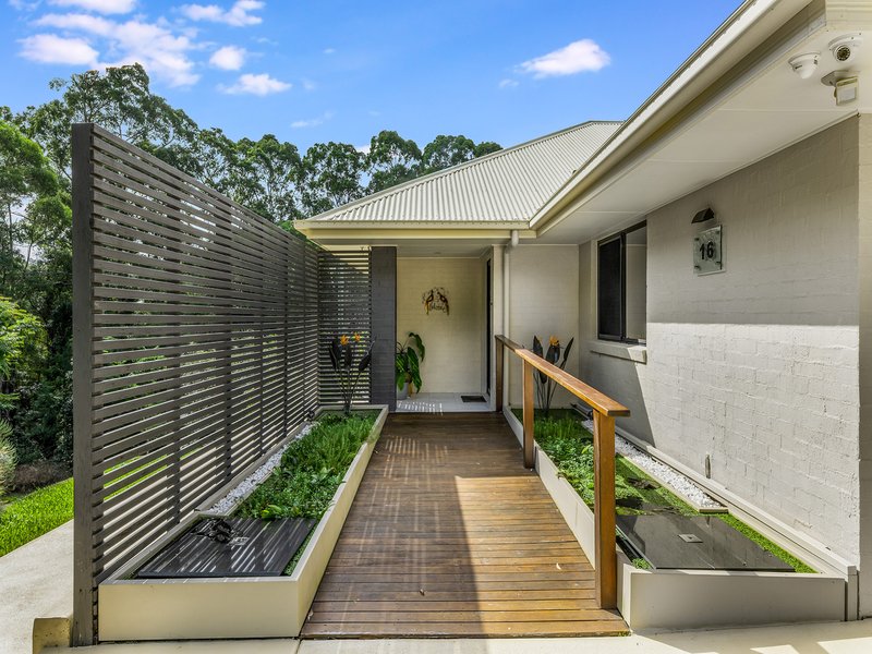 Photo - 16 Summer Ridge Place, Buderim QLD 4556 - Image 3