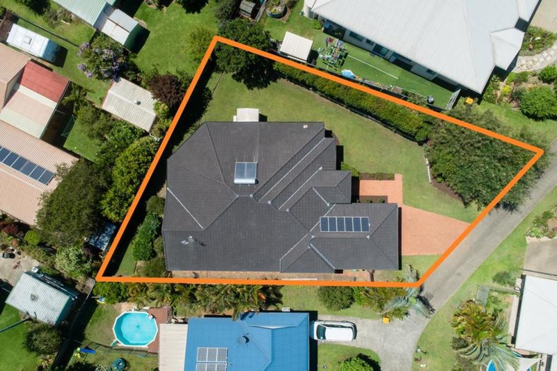 Photo - 16 Terrace Lea Court, Palmwoods QLD 4555 - Image 3