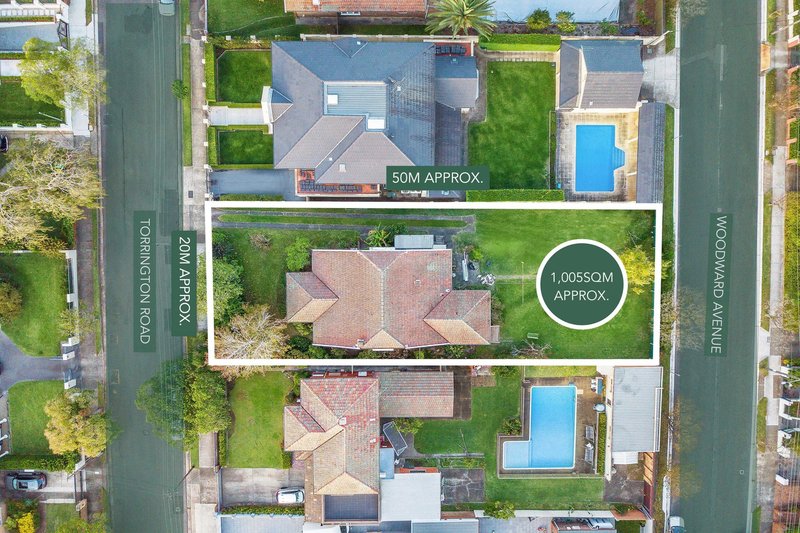 16 Torrington Road, Strathfield NSW 2135