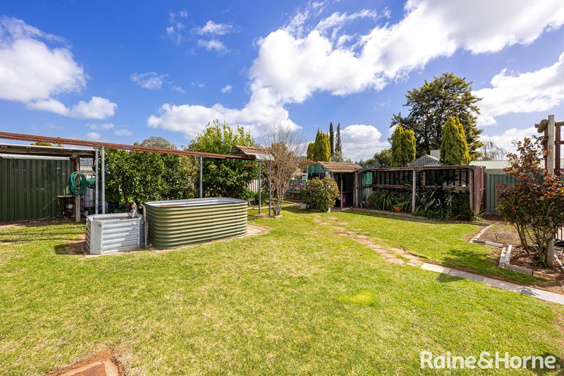 Photo - 16 Truman Avenue, Tolland NSW 2650 - Image 13