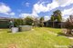 Photo - 16 Truman Avenue, Tolland NSW 2650 - Image 13