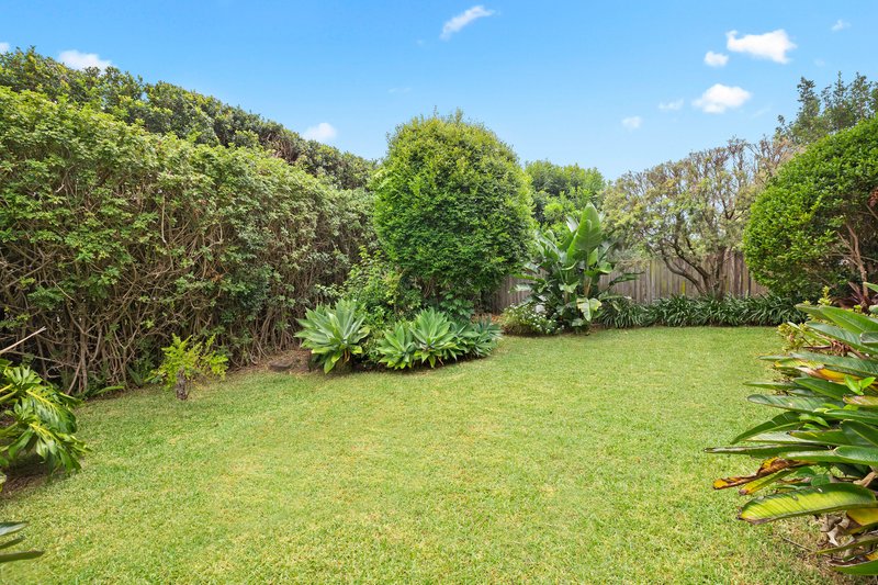 Photo - 16 Tutus Street, Balgowlah Heights NSW 2093 - Image 7