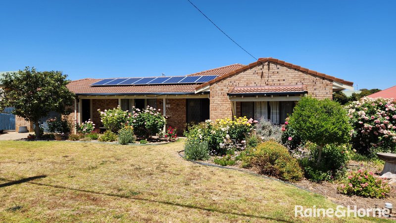 16 Vanzuilecom Street, Kojonup WA 6395