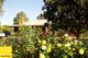 Photo - 16 Vine Close, Murrumbateman NSW 2582 - Image 6