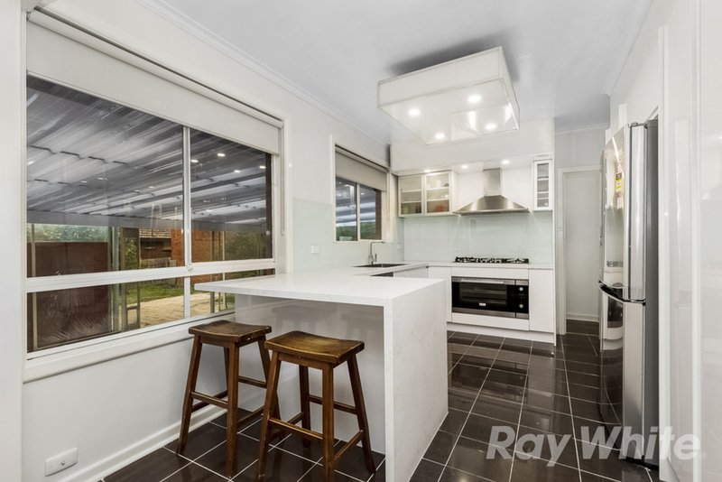 Photo - 16 Walker Road, Mount Waverley VIC 3149 - Image 3