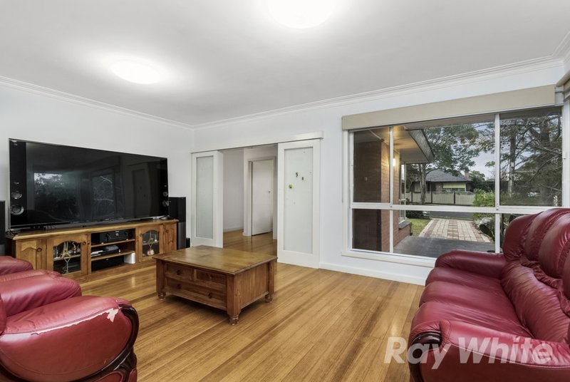 Photo - 16 Walker Road, Mount Waverley VIC 3149 - Image 6