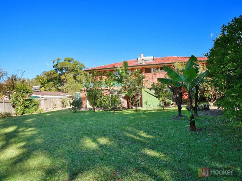 Photo - 16 Wareham Crescent, Frenchs Forest NSW 2086 - Image 3