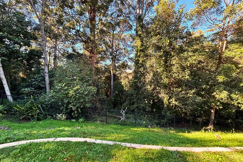 Photo - 16 Wendy Court, Upper Coomera QLD 4209 - Image 14