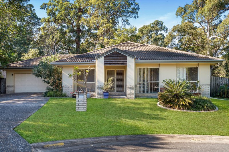 Photo - 16 Wendy Court, Upper Coomera QLD 4209 - Image 16