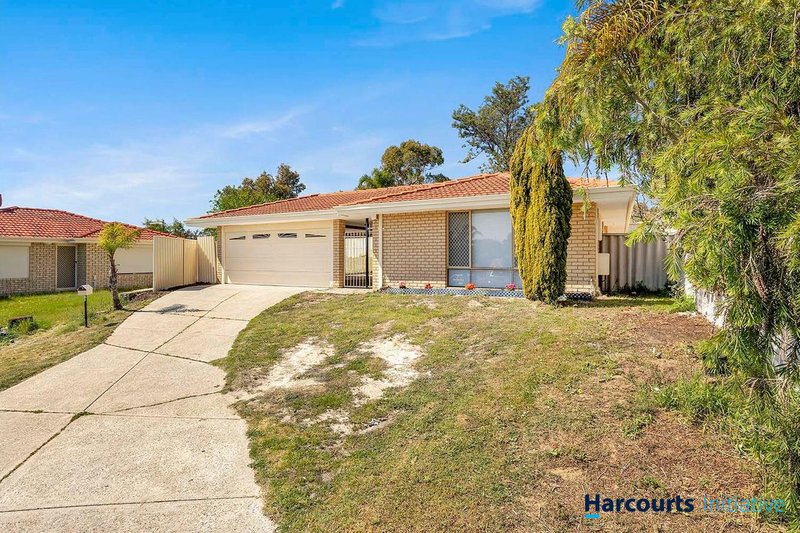 Photo - 16 Wilmore Green, Mirrabooka WA 6061 - Image 2