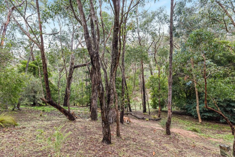 Photo - 16 Wychwood Grove, Upper Sturt SA 5156 - Image 16