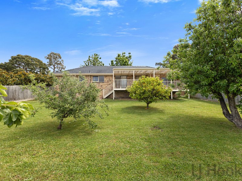 Photo - 16 Yarran Grove, Bayswater VIC 3153 - Image 14