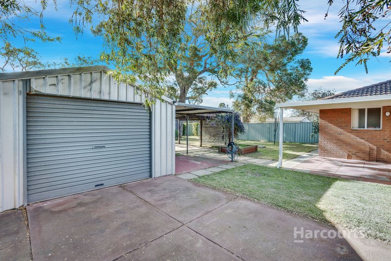 Photo - 16 Yeulba Street, Falcon WA 6210 - Image 15