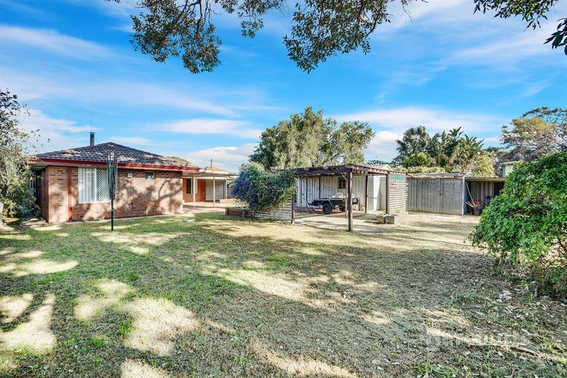 Photo - 16 Yeulba Street, Falcon WA 6210 - Image 16